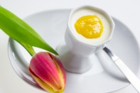 Kokospannacotta med mangopuré